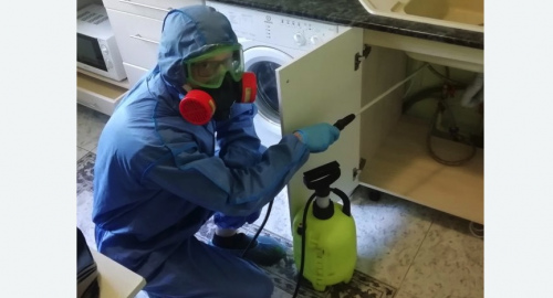 Уничтожение муравьев в квартире. Киреевск