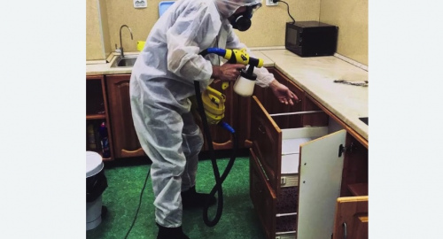 Уничтожение насекомых в квартире. Киреевск