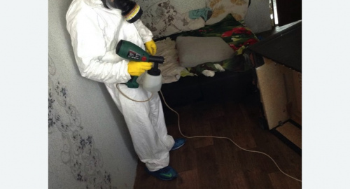 Обработка квартир от насекомых в Киреевске