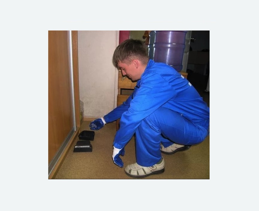 Дератизация крыс в Киреевске