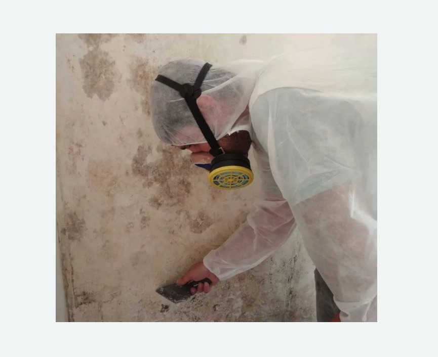 Обработка стен от плесени в Киреевске