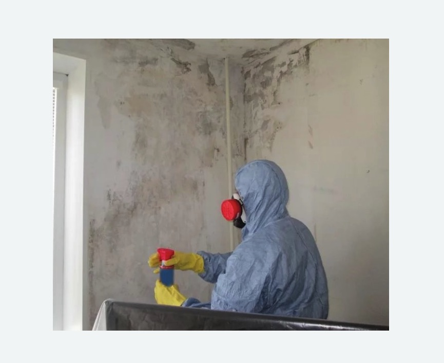 Удаление плесени в квартире в Киреевске