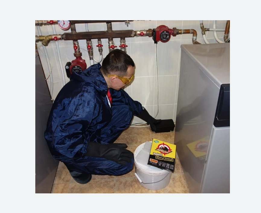 Уничтожение крыс в Киреевске