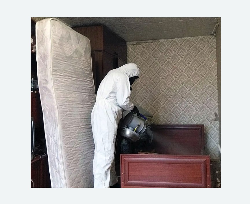 дезинфекция от клопов в Киреевске