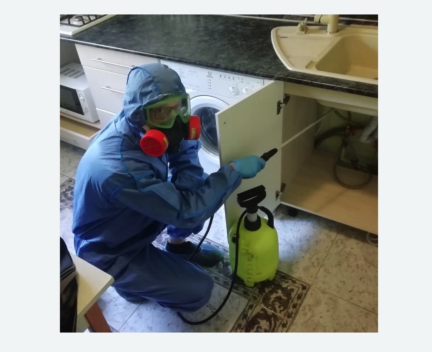 обработка от муравьев в квартире в Киреевске